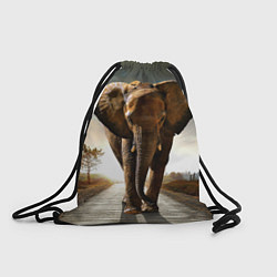 Рюкзак-мешок Дикий слон, цвет: 3D-принт