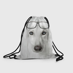 Рюкзак-мешок Собака в очках, цвет: 3D-принт