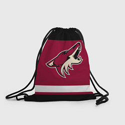 Мешок для обуви Arizona Coyotes