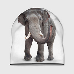 Шапка Большой слон, цвет: 3D-принт