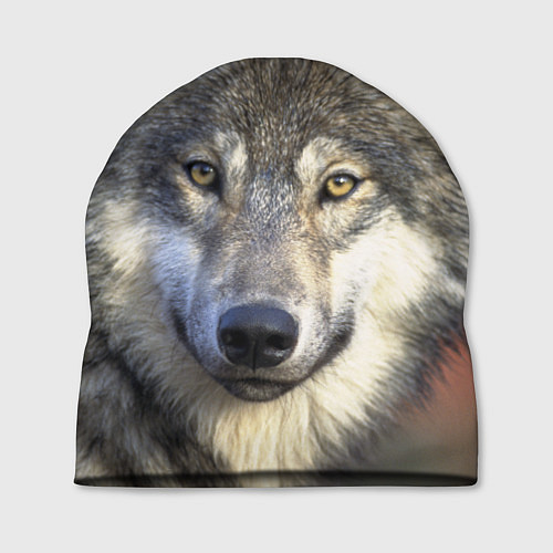 Шапка Улыбка волка / 3D-принт – фото 1