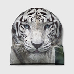 Шапка Белый тигр, цвет: 3D-принт