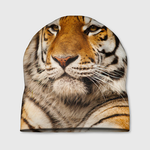 Шапка Мудрый тигр / 3D-принт – фото 1