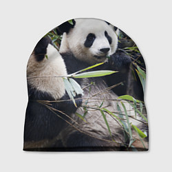 Шапка Семейка панд, цвет: 3D-принт