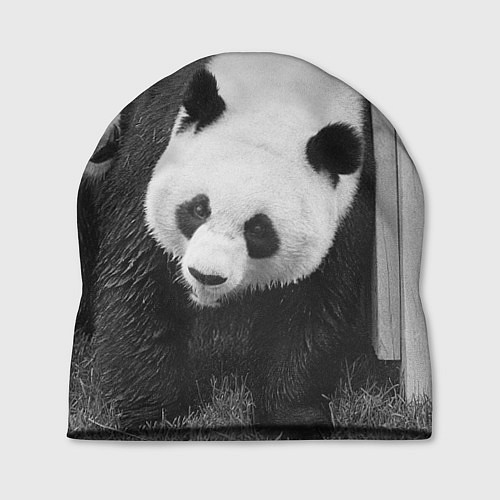Шапка Большая панда / 3D-принт – фото 1