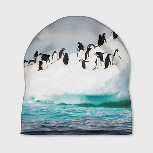 Шапка Пингвины на айсберге / 3D-принт – фото 1