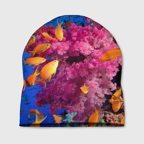Шапка Коралловые рыбки / 3D-принт – фото 1