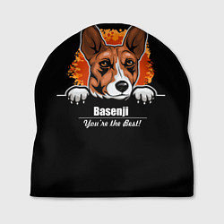 Шапка Басенджи Basenji