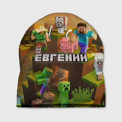 Шапка Евгений Minecraft / 3D-принт – фото 1