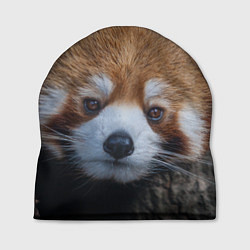 Шапка Крaсная панда, цвет: 3D-принт