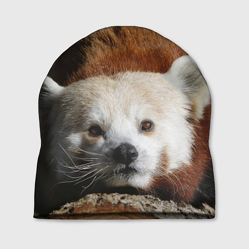 Шапка Красная панда ждёт / 3D-принт – фото 1
