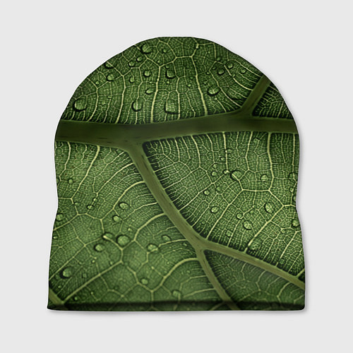 Шапка Текстура зелёной листы / 3D-принт – фото 1