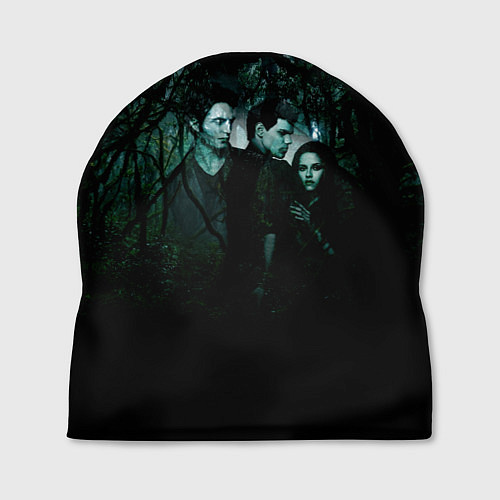 Шапка Сумерки Белла Эдвард Джейкоб арт / 3D-принт – фото 1