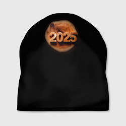 Шапка 2025 год на деревянном спиле, цвет: 3D-принт