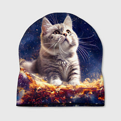 Шапка Кошка шиншилла в космосе