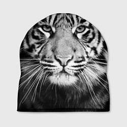 Шапка Красавец тигр, цвет: 3D-принт