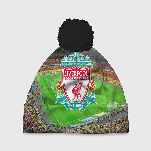 Шапка c помпоном FC Liverpool / 3D-Черный – фото 1