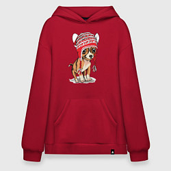 Толстовка-худи оверсайз Чихуахуа в шапочке, цвет: красный