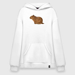 Толстовка-худи оверсайз Капибара сидит и спит, цвет: белый