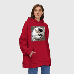 Толстовка-худи оверсайз Два любящих котика обнимаются клубочком, цвет: красный — фото 2