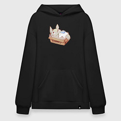 Толстовка-худи оверсайз Ghibli Totoro, цвет: черный