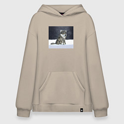 Толстовка-худи оверсайз Волк ауффф мем, цвет: миндальный