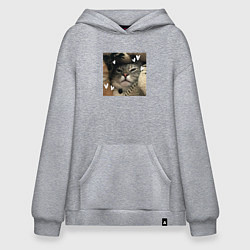 Толстовка-худи оверсайз Недовольная серая кошка, цвет: меланж