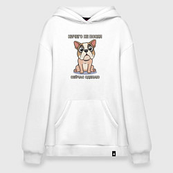 Толстовка-худи оверсайз Собака, мем, ничего не понял, цвет: белый