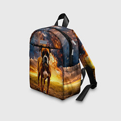 Детский рюкзак Немецкий боксер и звездное небо, цвет: 3D-принт — фото 2