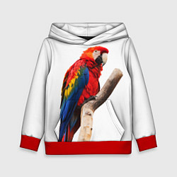 Толстовка-худи детская Яркий попугай, цвет: 3D-красный