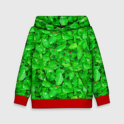 Толстовка-худи детская Зелёные листья - текстура, цвет: 3D-красный