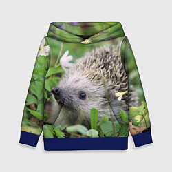 Детская толстовка Лесной ёжик в траве