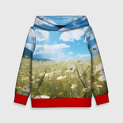 Толстовка-худи детская Ромашковое поле, цвет: 3D-красный