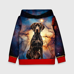 Детская толстовка Курцхаар и космос