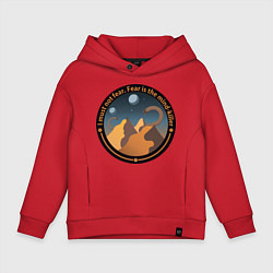 Детское худи оверсайз Шаи-Хулуд