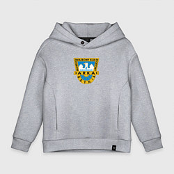 Толстовка оверсайз детская Арка Гдыня фк, цвет: меланж