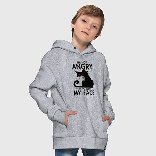 Детское худи оверсайз I am not angry cat / Меланж – фото 4