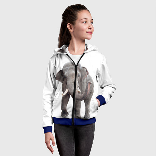Детская толстовка на молнии Большой слон / 3D-Синий – фото 4