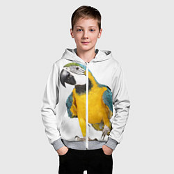 Толстовка на молнии детская Попугай ара, цвет: 3D-меланж — фото 2