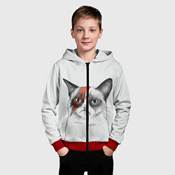 Толстовка на молнии детская David Bowie: Grumpy cat, цвет: 3D-красный — фото 2