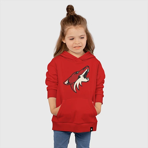 Детская толстовка-худи Phoenix Coyotes / Красный – фото 4