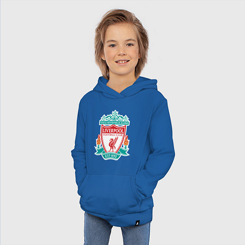 Детская толстовка-худи Liverpool FC / Синий – фото 3