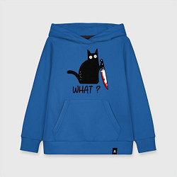 Детская толстовка-худи What cat