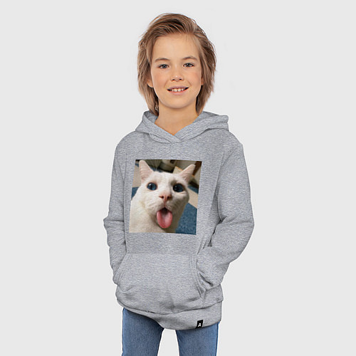 Детская толстовка-худи Мем про кота / Меланж – фото 3