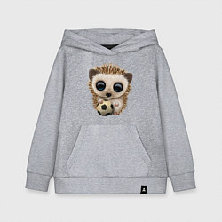 Толстовка детская хлопковая Футбол - Ёжик, цвет: меланж