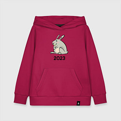 Детская толстовка-худи Большой кролик 2023