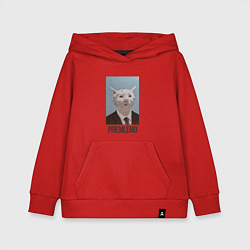Толстовка детская хлопковая Приемлемо - кот мем в живописи, цвет: красный