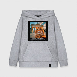 Толстовка детская хлопковая Рыжий кот: хотел как лучше получилось идеально, цвет: меланж