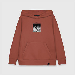 Толстовка детская хлопковая BTS Entan, цвет: кирпичный