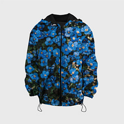 Куртка с капюшоном детская Поле синих цветов фиалки лето, цвет: 3D-черный